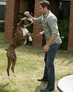 Greatest American Dog Travis and Presley